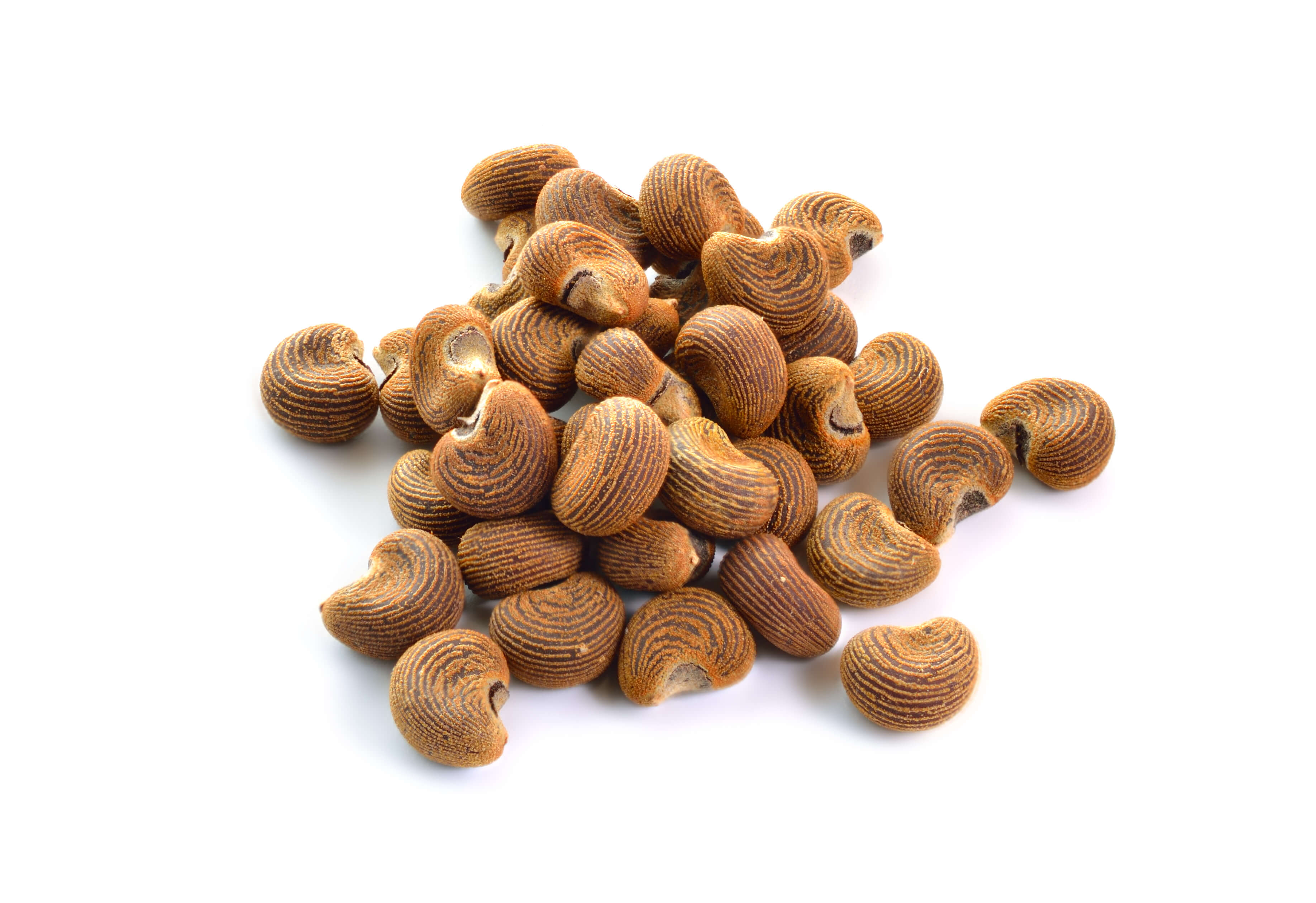 Ambrette Graines Absolue (N° CAS 8015-62-1 / 84455-19-6) Ambrette Graines Absolue (N° CAS 8015-62-1 / 84455-19-6)