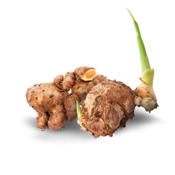 Curcuma Xanthorrhiza Racines Absolue (N° CAS 89998-05-0)