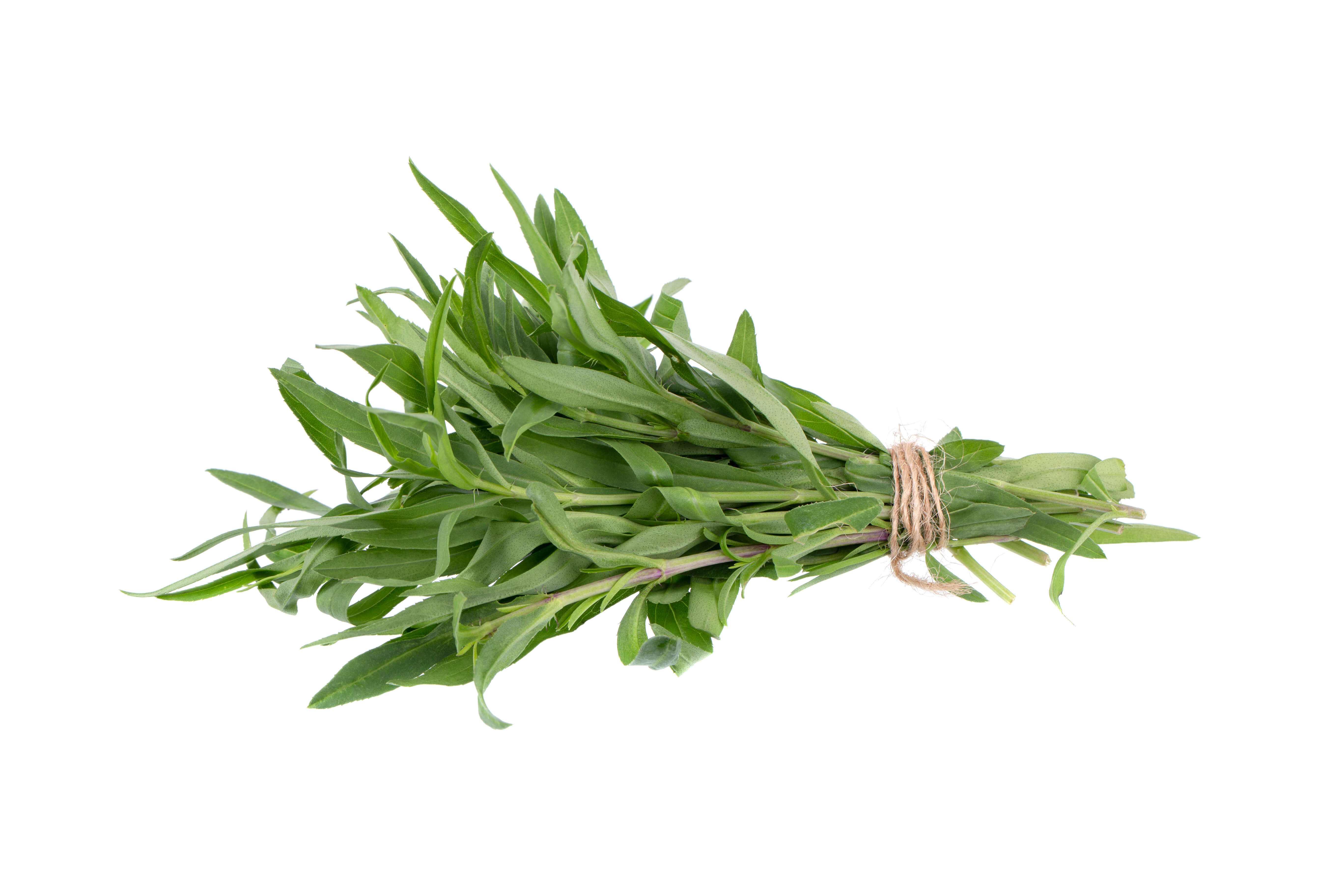 Estragon HE (N° CAS 8016-88-4) Estragon HE (N° CAS 8016-88-4)