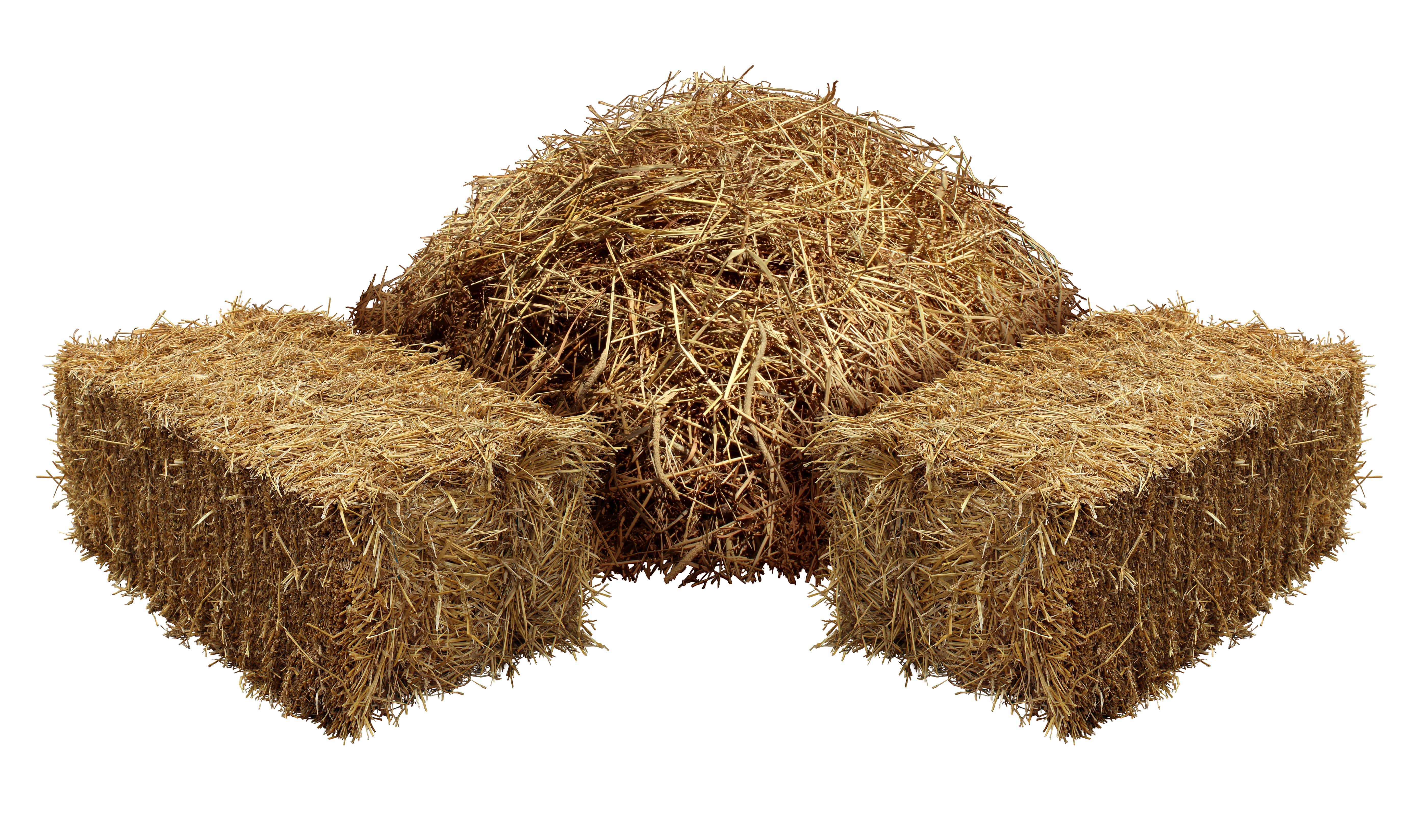 Foin Absolue (N° CAS 8031-00-3) Foin Absolue (N° CAS 8031-00-3)