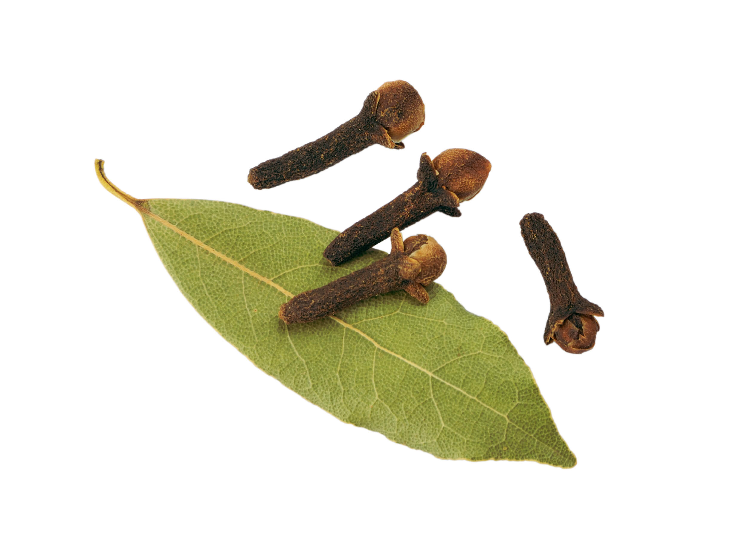 Girofle Feuilles HE (N° CAS 8000-34-8) Girofle Feuilles HE (N° CAS 8000-34-8)