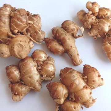 Kaempferia Galanga Absolue (N° CAS 92347-13-2 // 936843-30-0)