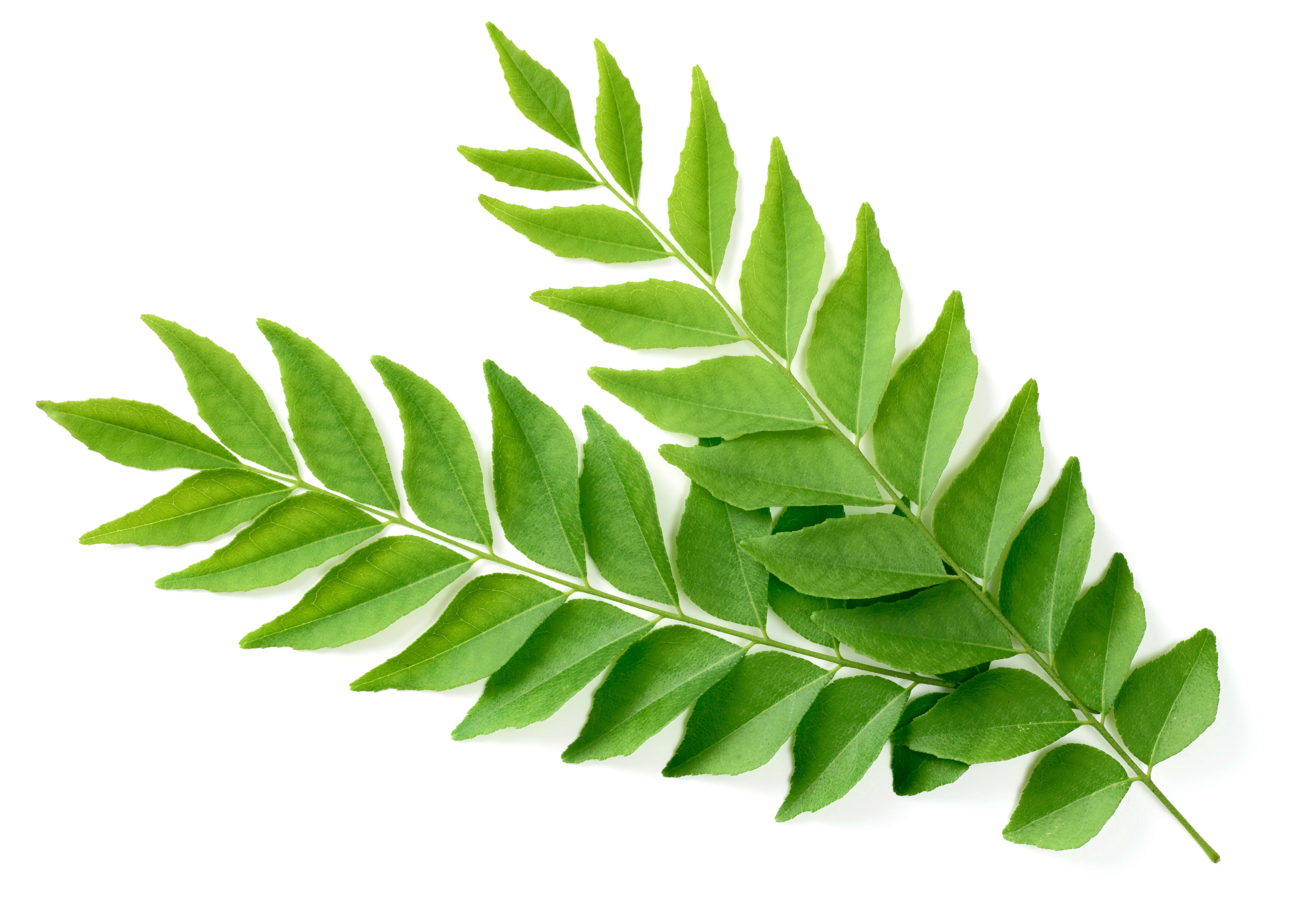 Murraya HE (N° CAS 876068-15-4) Murraya HE (N° CAS 876068-15-4)