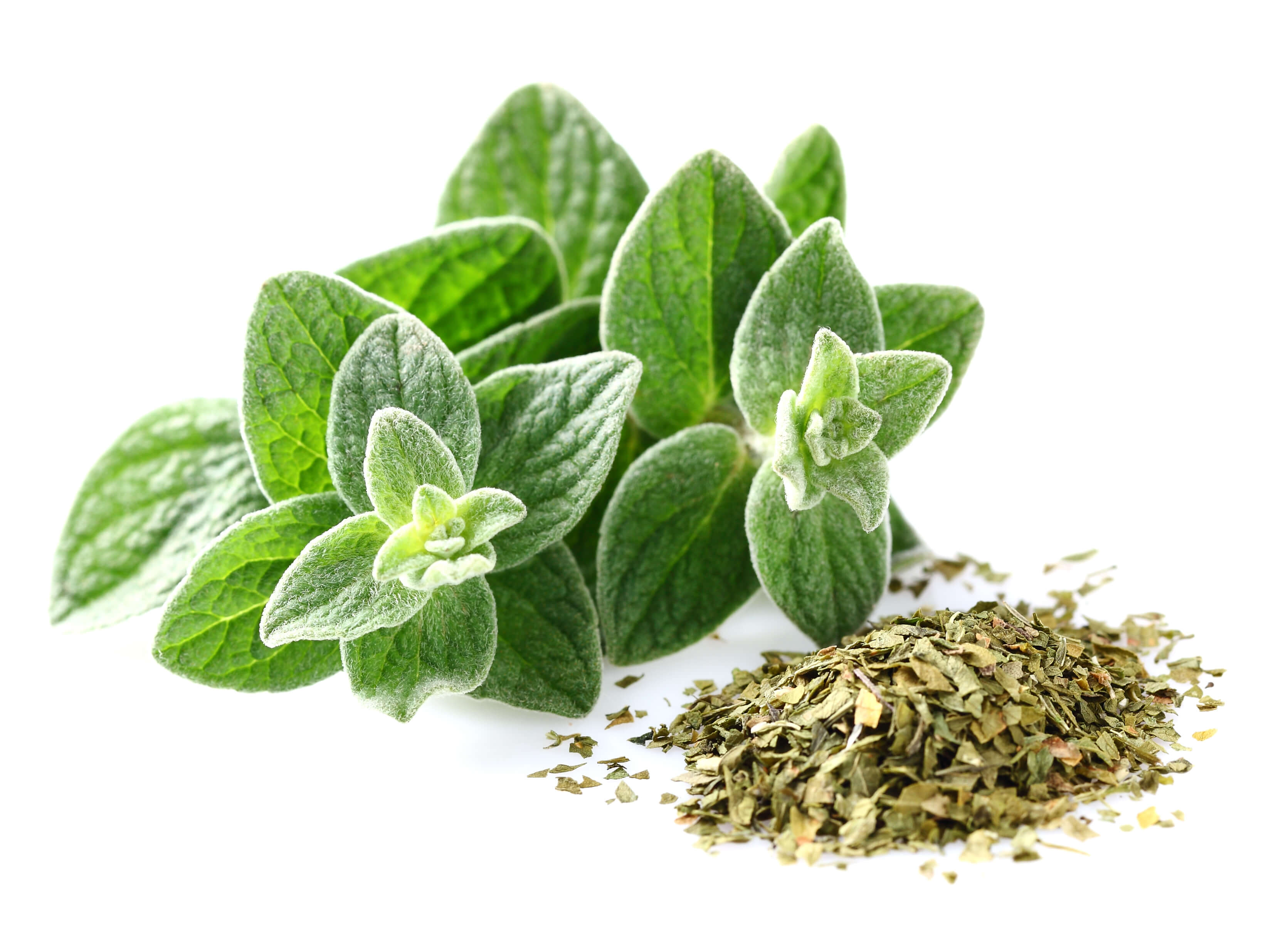 Origan HE (N° CAS 8007-11-2) Origan HE (N° CAS 8007-11-2)