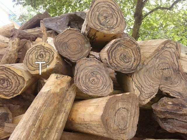 Oud Aetoxylon Sympetalum HE (N° CAS 1333524-00-7) Oud Aetoxylon Sympetalum HE (N° CAS 1333524-00-7)
