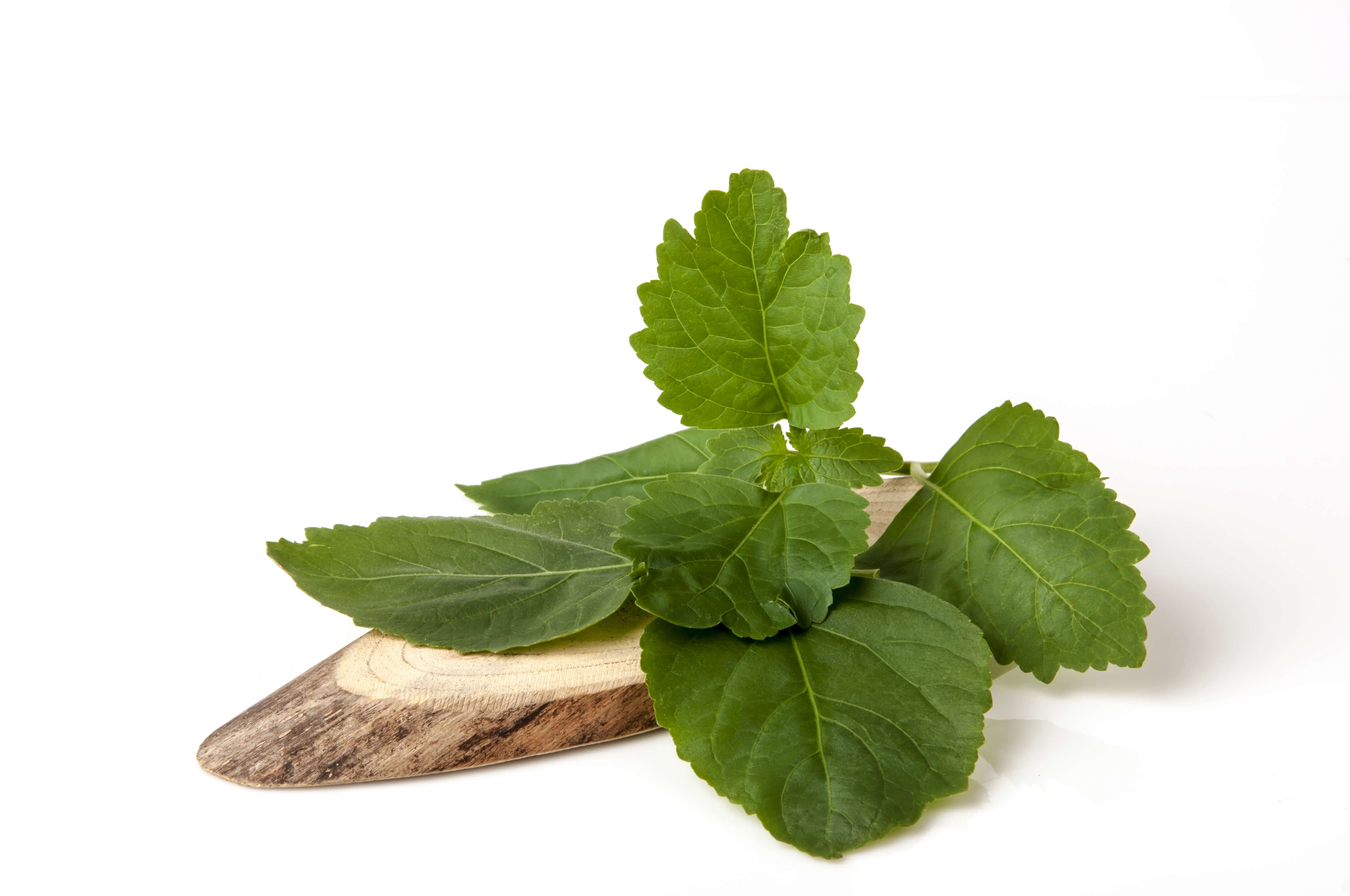 Patchouli HE (N° CAS 84238-39-1 // 8014-09-3) Patchouli HE (N° CAS 84238-39-1 // 8014-09-3)