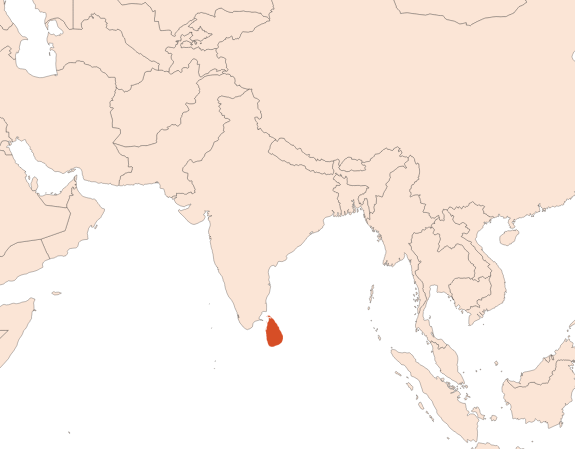 Cannelier Ecorce HE (N° CAS 8015-91-6) Map for Cannelier Ecorce HE (N° CAS 8015-91-6)