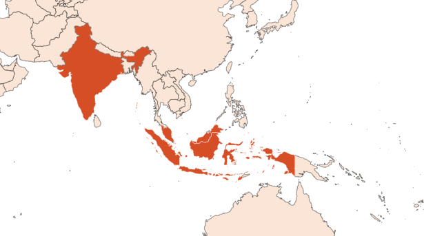 Cubèbe Poivre HE (N° CAS 90082-59-0 // 8007-87-2) Map for Cubèbe Poivre HE (N° CAS 90082-59-0 // 8007-87-2)