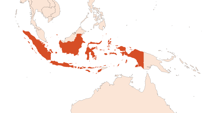 Patchouli HE (N° CAS 84238-39-1 // 8014-09-3) Map for Patchouli HE (N° CAS 84238-39-1 // 8014-09-3)