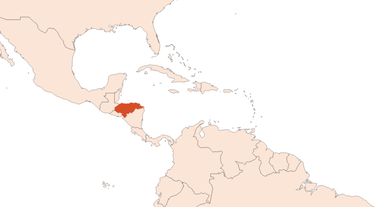 Styrax Honduras HE (N° CAS 8046-19-3) Map for Styrax Honduras HE (N° CAS 8046-19-3)